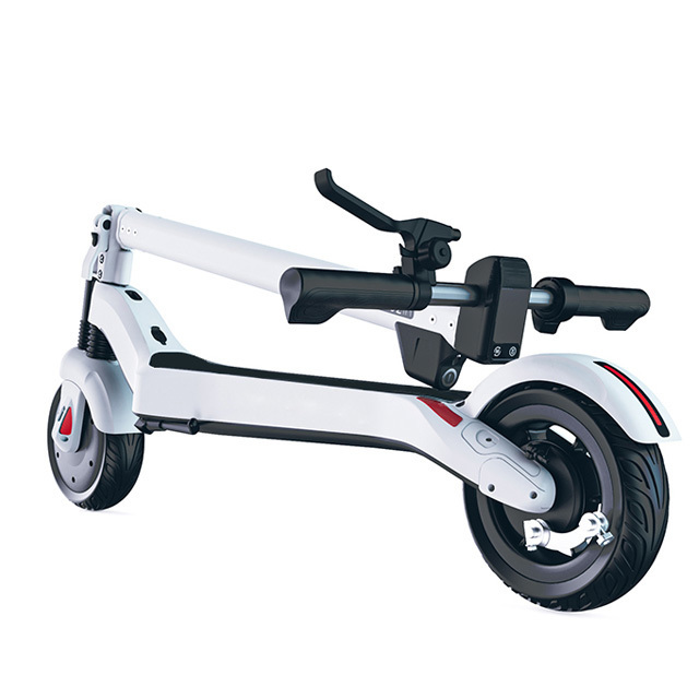 Neozin ZEROW Self Balancing Foldable 600W 8 Inch Fat Tires Powerful Adults & Kids EU & USA Warehouse Electric Scooter