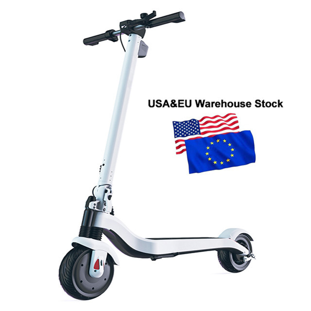 Neozin ZEROW Self Balancing Foldable 600W 8 Inch Fat Tires Powerful Adults & Kids EU & USA Warehouse Electric Scooter