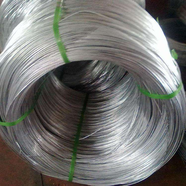 Galvanized Welded Wire Mesh Fence Panel/Galvanized Wire Roll