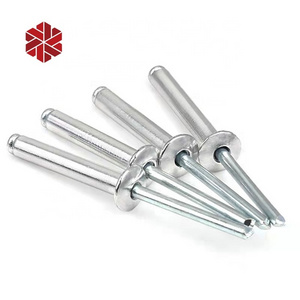 Wholesale Stainless Steel Blind Rivet Silver carbon steel Flat Head Rivet