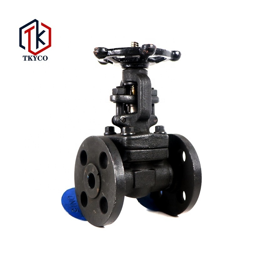 Taike Valve China Manufacturer Slide 8 inch Gate Valve