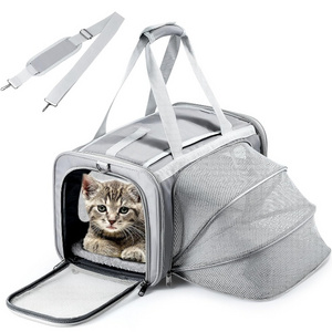 China Fujian Custom Logo Gray Expandable Airline Approved Cat Dog Pet Carrier For Travel