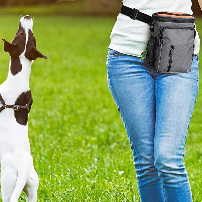 Dog Fanny Training Treat Pouch Pack For Puppy Training Dog Walking Hiking Outdoor Travel