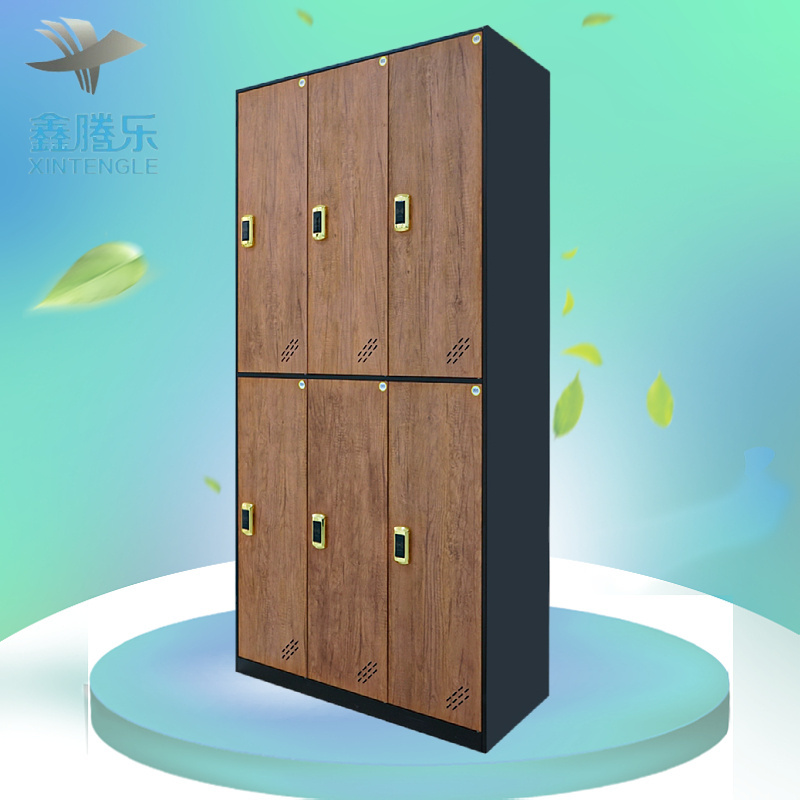 Tengle Supplier Spa Center Student School Lockers gym electronic cabinet lock smart parcel delivery storage locker