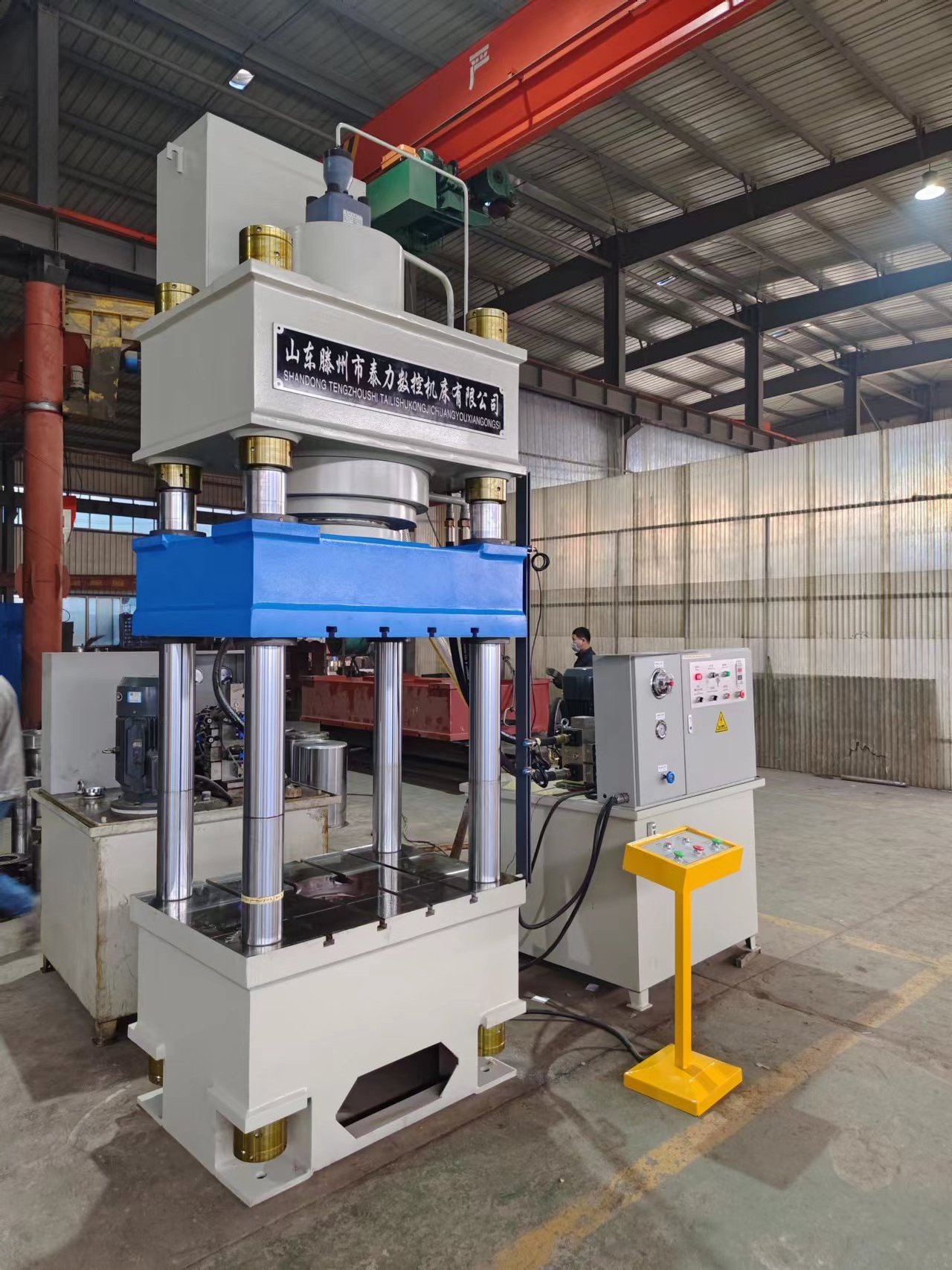 Factory powder molding hydraulic press 250 tons molding compactor 315 tons custom automation