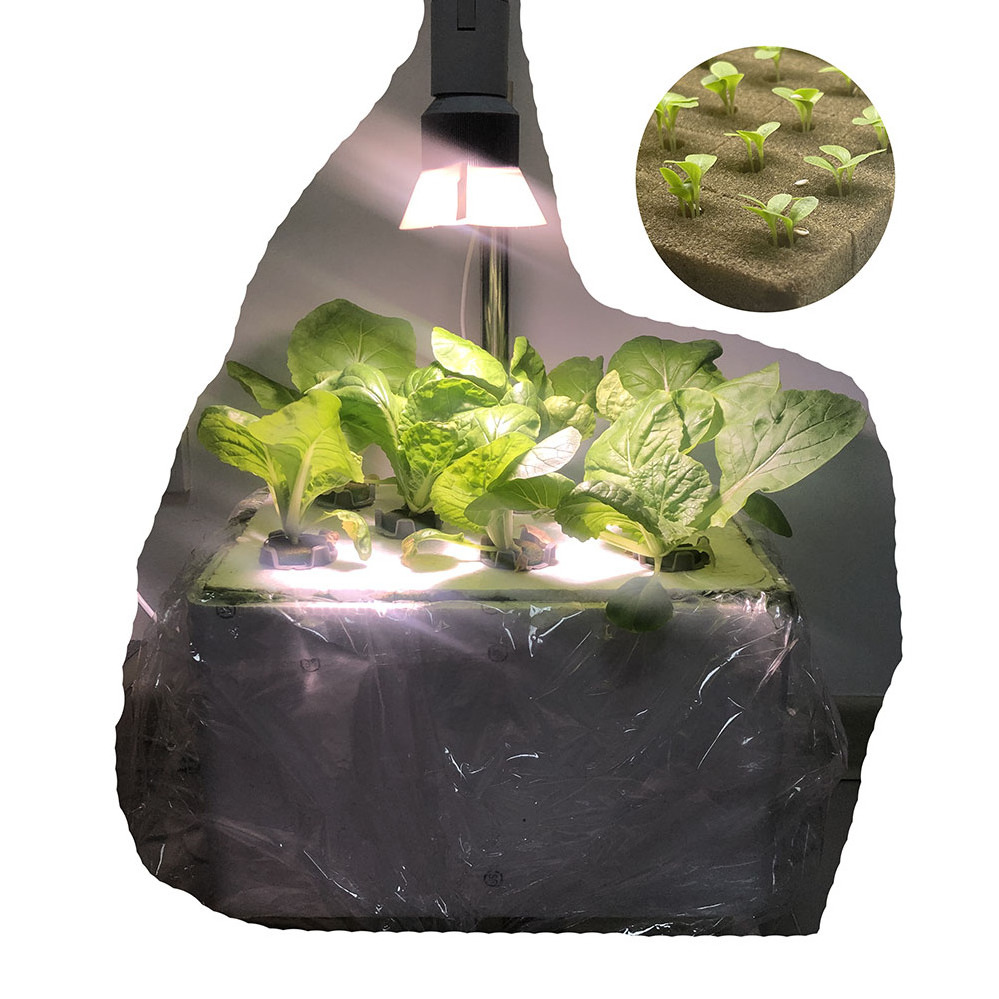 Hydroponic Farm Tomato Growing Bags sponge Cube Hydroponic System Dutch Bucket Kit