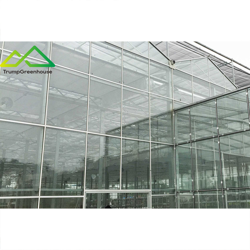 2022 hot sale low price glass greenhouses used for commercial agriculture farm galvanized metal frame with rdwc