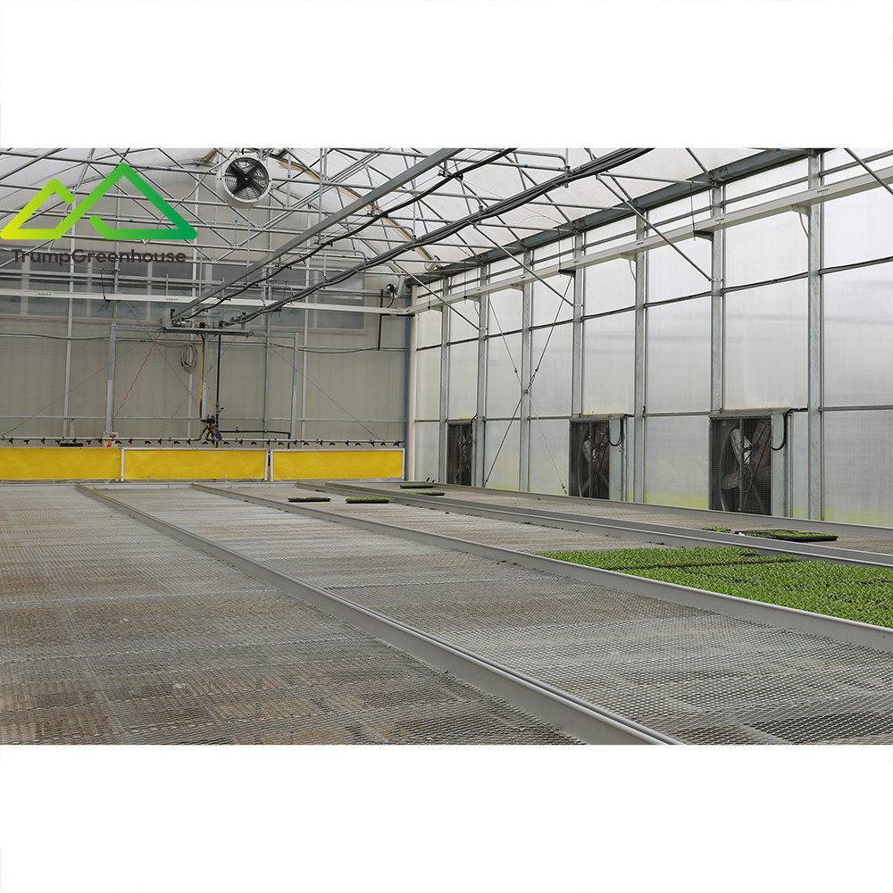 galvanized metal mesh bench cheap price greenhouse rolling tables for greenhouse seed