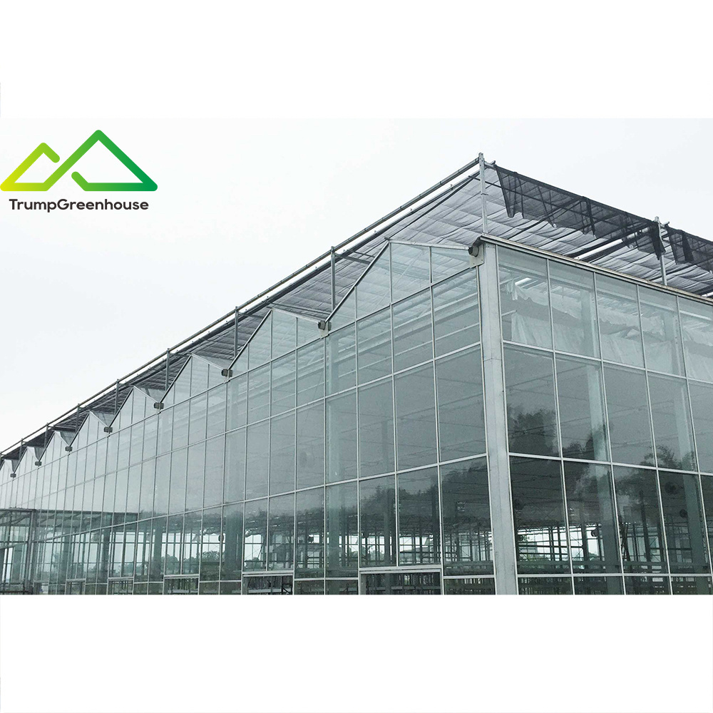 2022 hot sale low price glass greenhouses used for commercial agriculture farm galvanized metal frame with rdwc