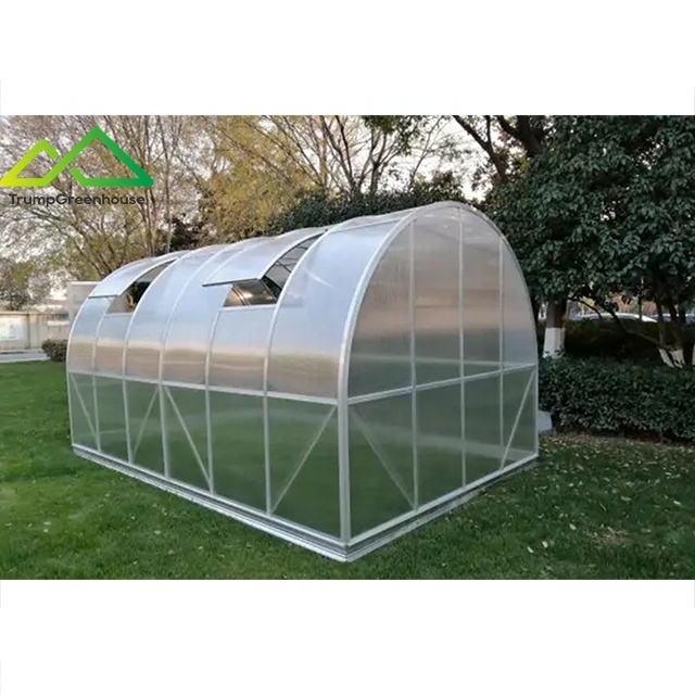 hot sale small garden greenhouse low cost agricultural greenhouses for vegetable garden