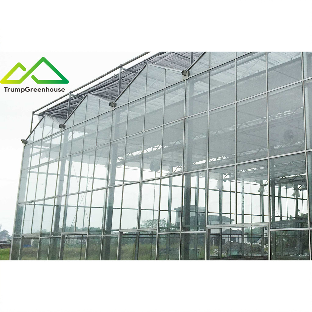 2022 hot sale low price glass greenhouses used for commercial agriculture farm galvanized metal frame with rdwc