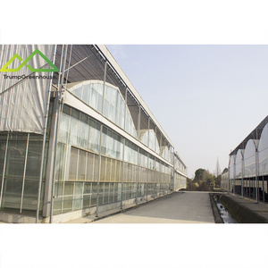 co2 generator for agricultural greenhouse industry glass greenhouse with outside aluminum foil shading net