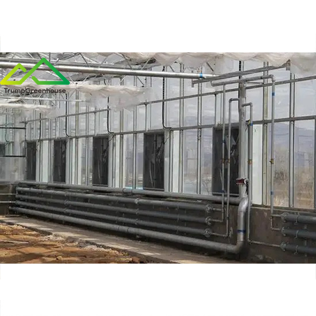 Film/Glass/Sunboard/Solar Greenhouse Hydroponics/Aeroponic Growing System with Electric/Water Heater Fan Boiler