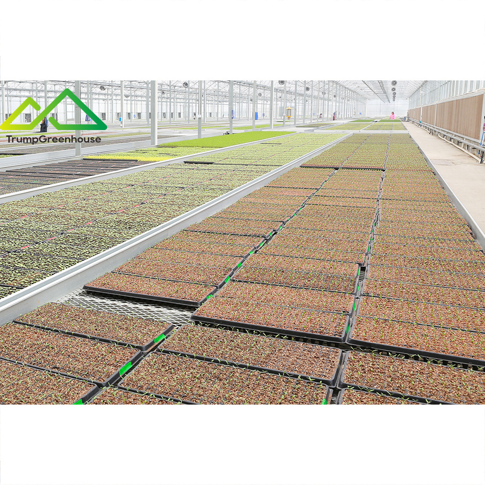 galvanized metal mesh bench cheap price greenhouse rolling tables for greenhouse seed