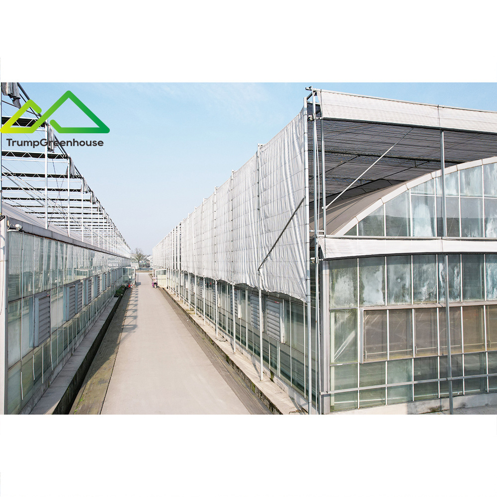 co2 generator for agricultural greenhouse industry glass greenhouse with outside aluminum foil shading net