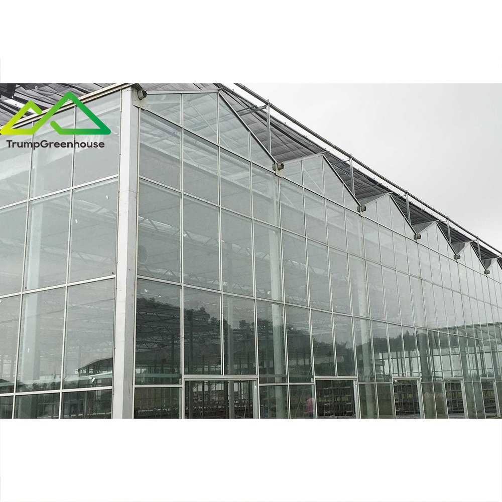 2022 hot sale low price glass greenhouses used for commercial agriculture farm galvanized metal frame with rdwc