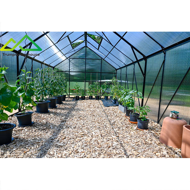 PC board small garden greenhouse hot sale garden winter protection greenhouse for vegetable garden