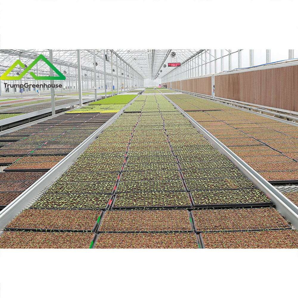 galvanized metal mesh bench cheap price greenhouse rolling tables for greenhouse seed