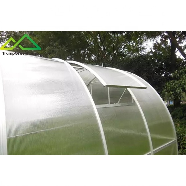 dome type durable garden greenhouses with cocopeat for sale winter garden greenhouse