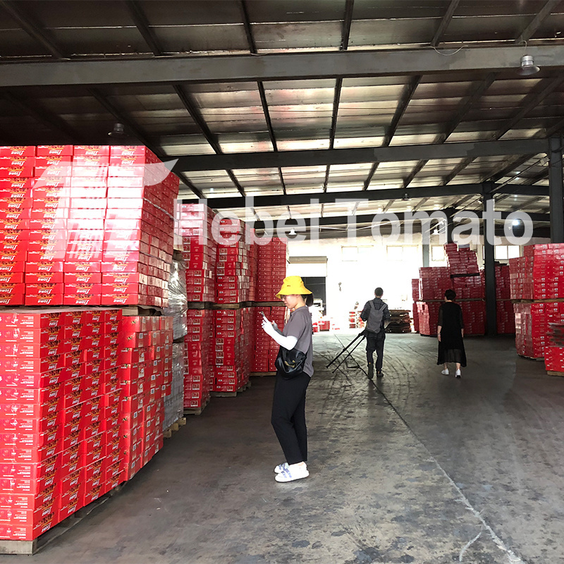 Tomato Paste Manufacturer Price Organic Healthy 800g Canned Tomato Paste