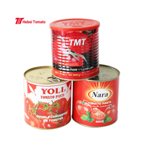 Tomato Paste Manufacturer Price Organic Healthy 800g Canned Tomato Paste