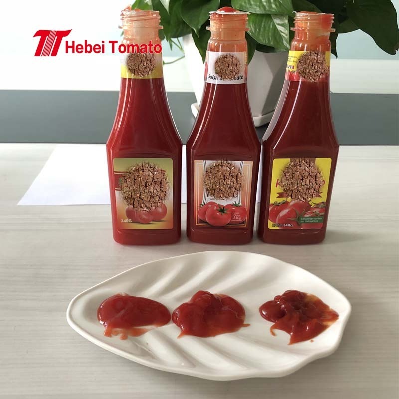 Factory price delicious 340g 5kg tomato ketchup with OEM brand for cooking