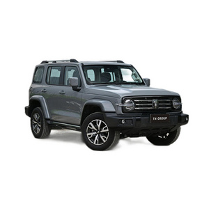 Great Wall Tank 300 SUV 2024 2.0T Challenger 4WD version Made in China Bset Price SUV