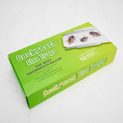 Indoor Cockroach Trap Insect Control Cockroach Glue Trap To Kill Cockroaches