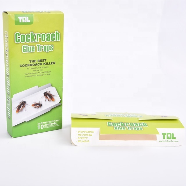 Indoor Cockroach Trap Insect Control Cockroach Glue Trap To Kill Cockroaches