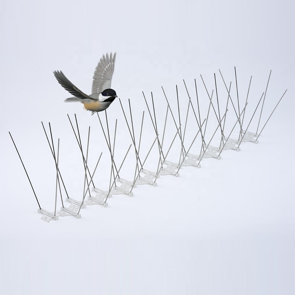 Wall Fence PC Base and 304 Stainless Steel anti Bird Spikes for Bird Repeller