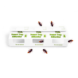 Home Use Efficient Roach Traps Insect Killer Anti Cockroach Strong Attractant Cockroach House Trap