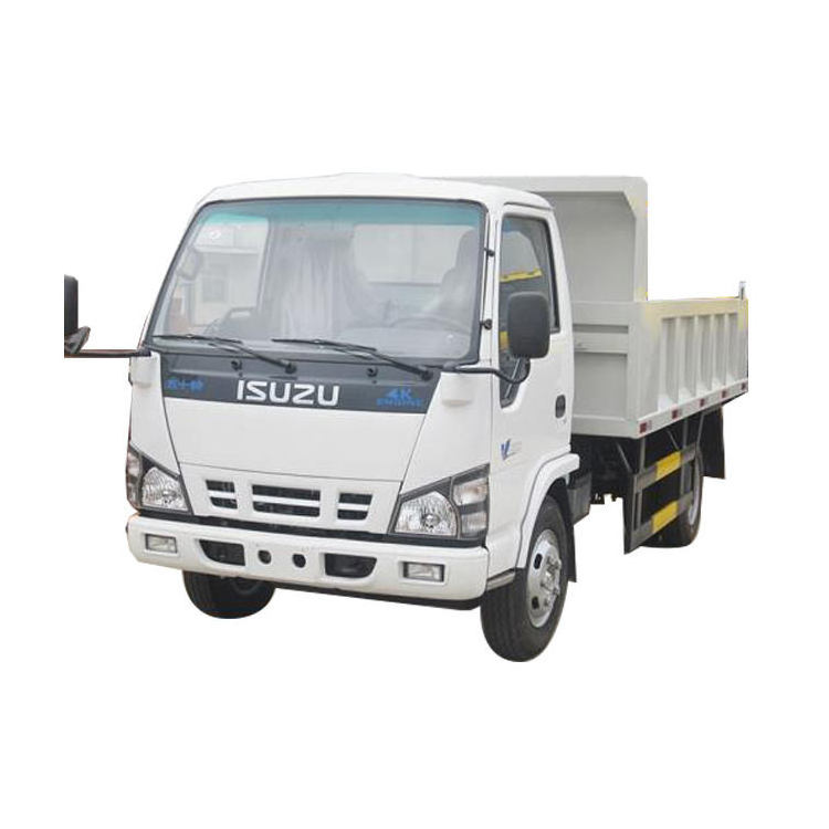 isuzu mini dump truck 4x2 Euro2 3 4 5 LHD/RHD Cargo Diesel Tipper Tipping 25ton 40 ton 60 ton  hydraulic dump truck kit For Sale