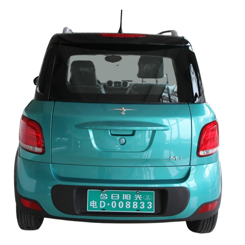 EEC Approved Two Seater Electric Mini Car for Adult