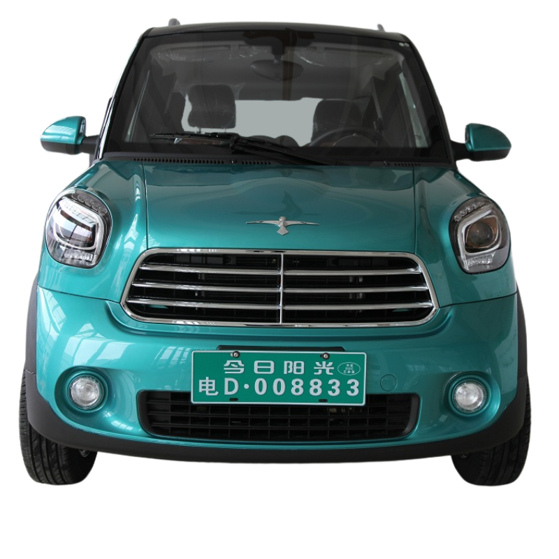 EEC Approved Two Seater Electric Mini Car for Adult