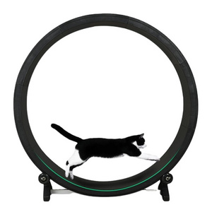 Luxury Pet Tread Exercise Running Wheel Interactive Anti-depression Pure Cats Sustainable Cat Fun Treadmill