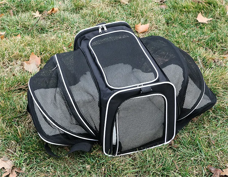 Folding Fabric Pet Carrier Airline Approved Expandable Foldable Soft-Sided Cat Dog Carrier Pet Travel Bag Safe