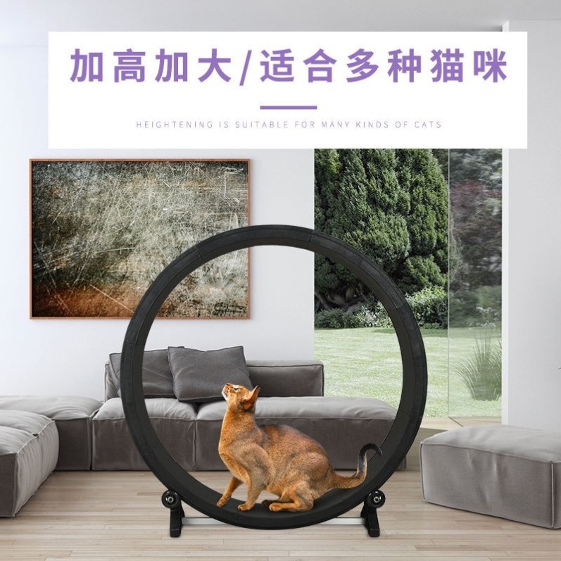 Luxury Pet Tread Exercise Running Wheel Interactive Anti-depression Pure Cats Sustainable Cat Fun Treadmill