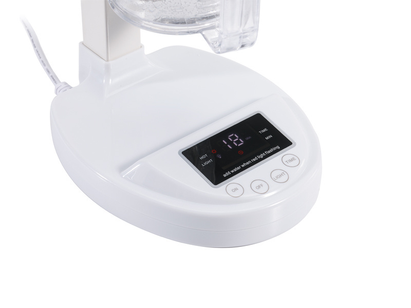 DT-A03 mini facial steamer home use ion ozone  vapour factory whosale price cheap face steamer