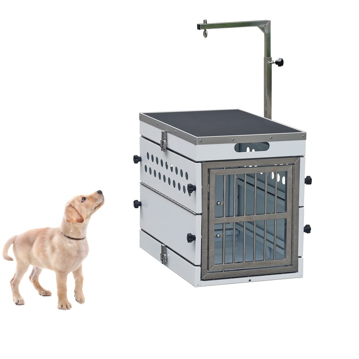 Air Pet Carrier Metal Dog Cage Extra Large Airline Approved Pet Carrier Big Airline Approved Pet Carrier