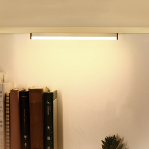 Showcase Linear Light Mini Closet Shelf Led Lighting Indoor modern bathroom wall linear light