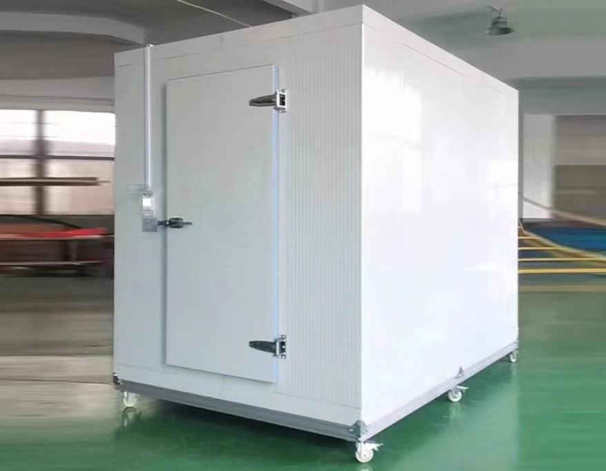 Small size cold storage room price refrigerated cold outdoor cold room chiller for fish