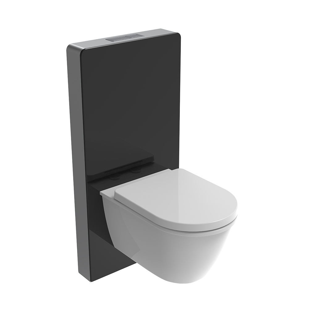 Modern Wall-Hung WC Cabinet Cistern with Concealed Tank Black and White for Bathroom Use