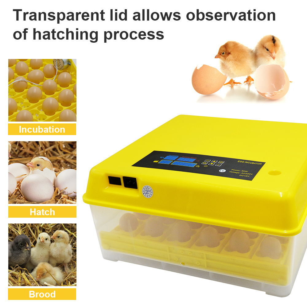 Newest 72 parrot quail bird egg incubator automatically eggs incubators egg hatching machine for sale