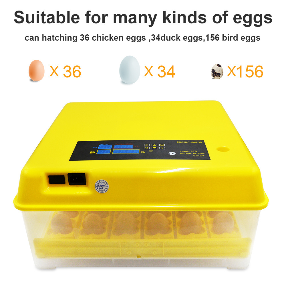 Newest 72 parrot quail bird egg incubator automatically eggs incubators egg hatching machine for sale