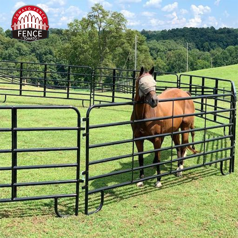 Cheap Price Used Horse Corral Fence Panels For America Market