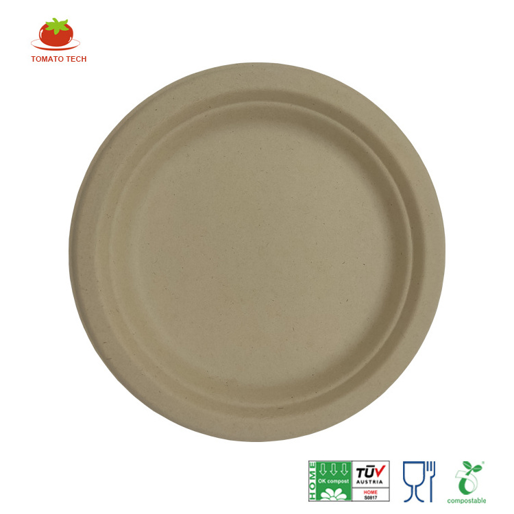 Large capacity family dinner company party bagasse sauce oval plate 10 inch