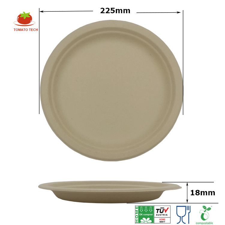 Large capacity family dinner company party bagasse sauce oval plate 10 inch