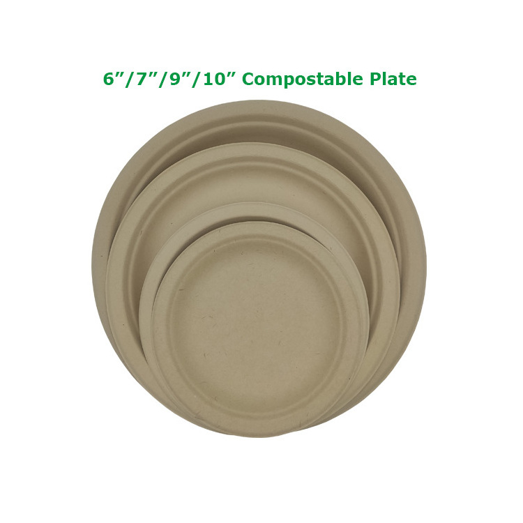 Large capacity family dinner company party bagasse sauce oval plate 10 inch