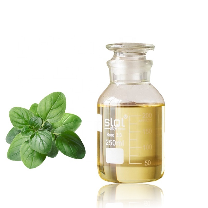 Oregano oil essential Oil  bulk