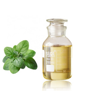 Oregano oil essential Oil  bulk